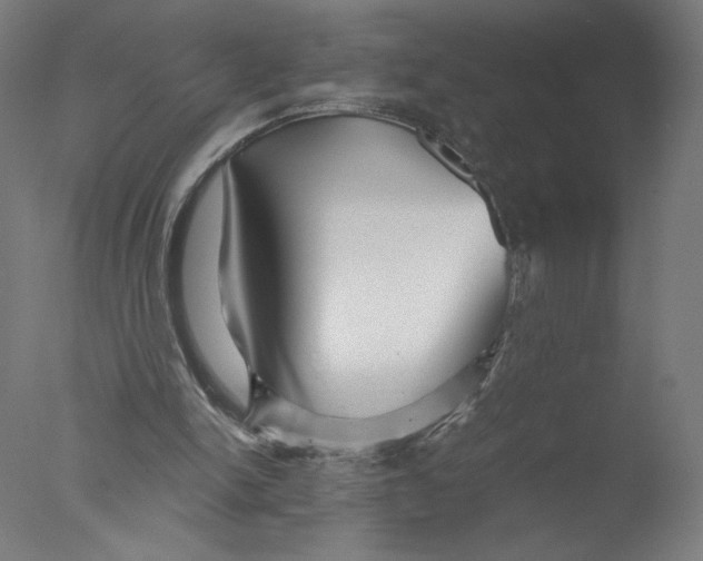 X0000076070150200610202023