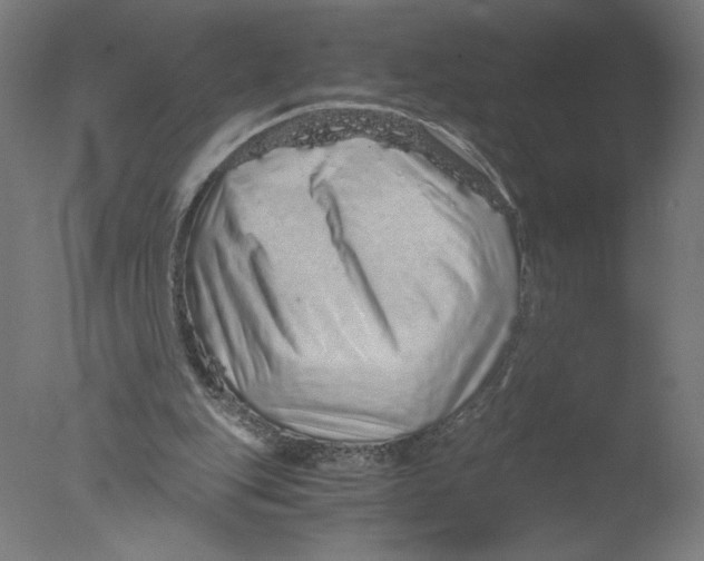 X0000076070151200610202023