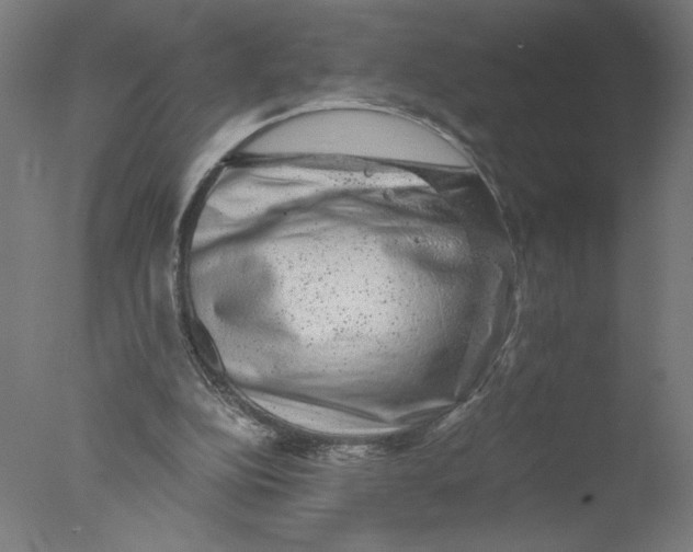 X0000076070152200610202023