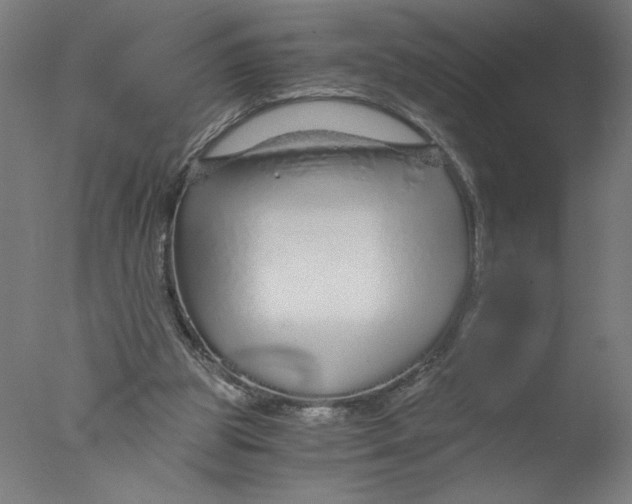 X0000076070153200610202023