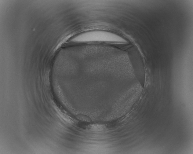 X0000076070154200610202023