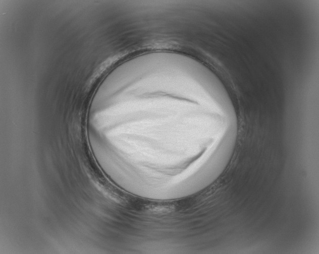 X0000076070155200610202023