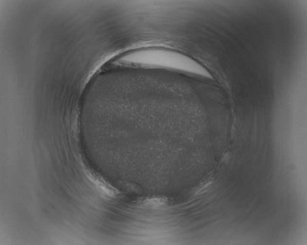 X0000076070156200610202023