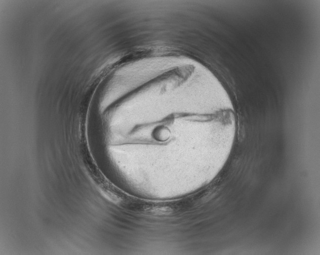 X0000076070157200610202023