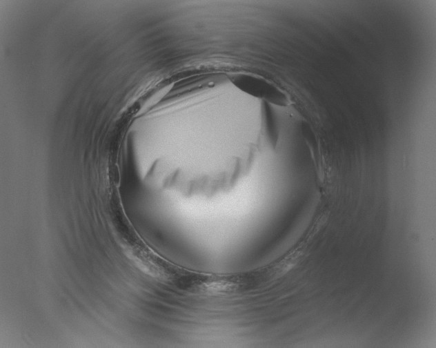 X0000076070158200610202023