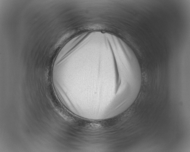 X0000076070159200610202023