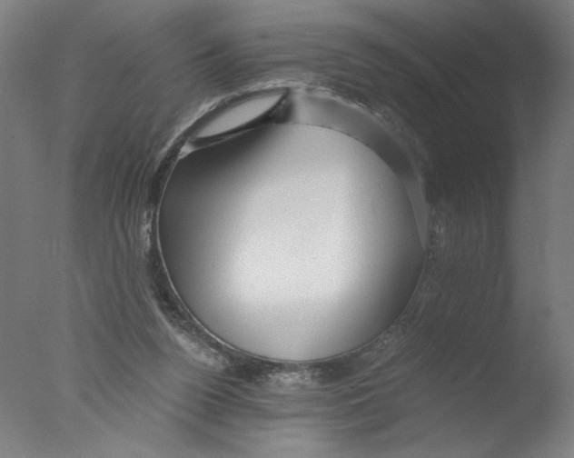 X0000076070160200610202023