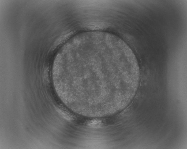 X0000076070162200610202023