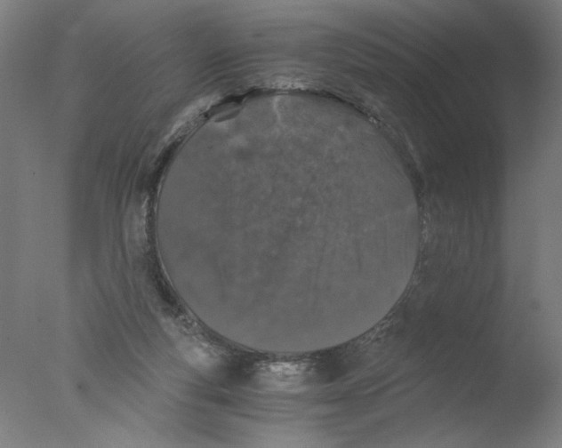 X0000076070163200610202023