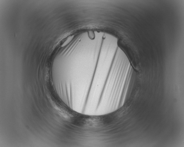 X0000076070164200610202023