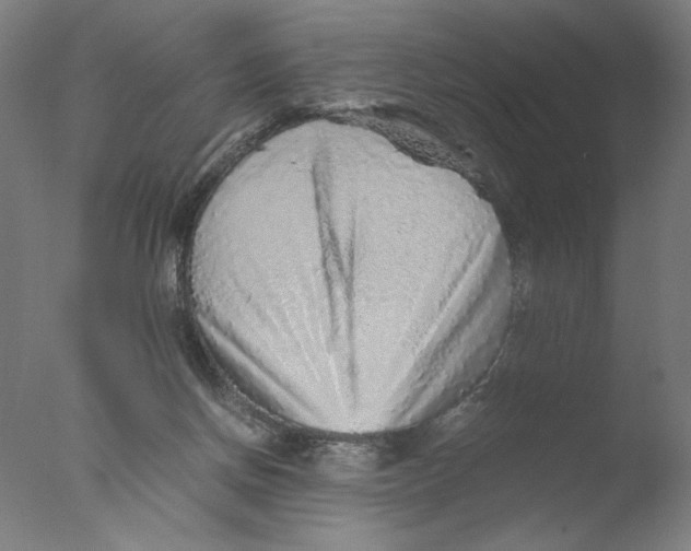 X0000076070166200610202023