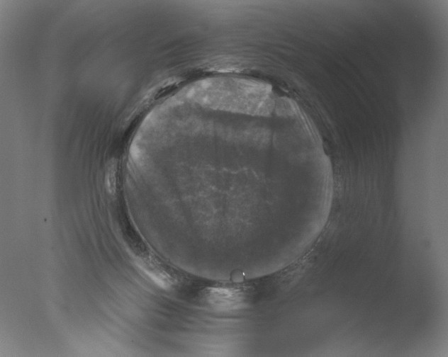 X0000076070167200610202023