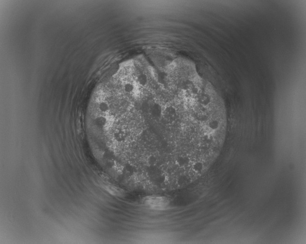 X0000076070169200610202023