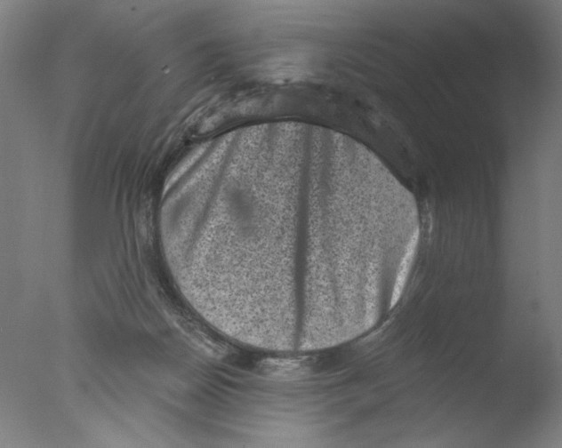 X0000076070170200610202023