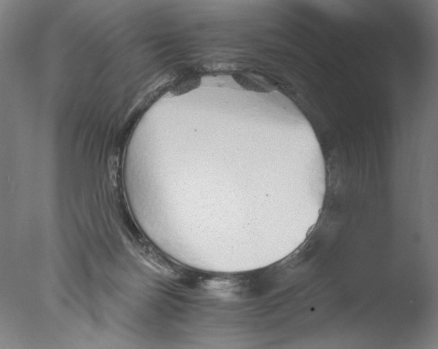 X0000076070171200610202023