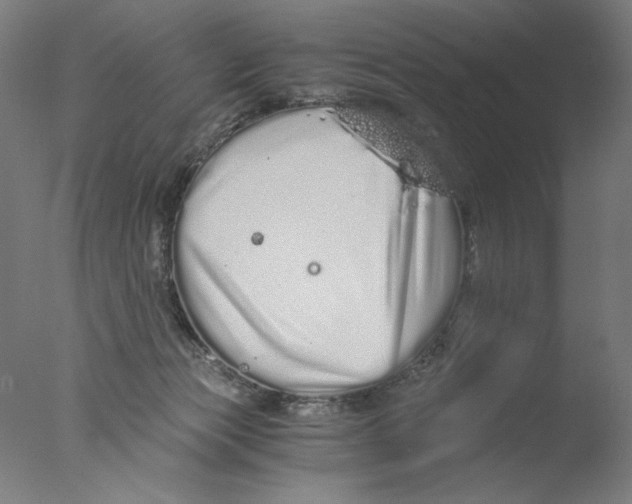 X0000076070173200610202023