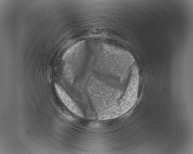 X0000076070174200610202023