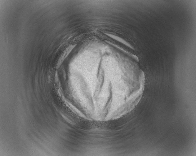 X0000076070175200610202023