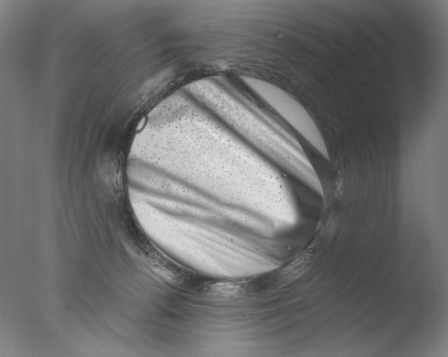 X0000076070176200610202023