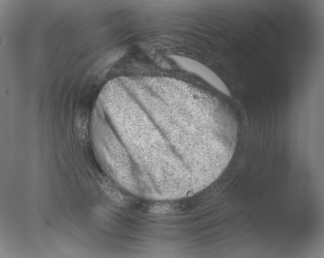 X0000076070177200610202023