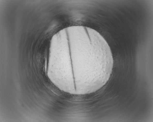 X0000076070178200610202023