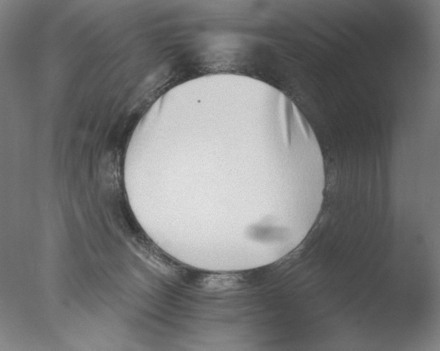 X0000076070179200610202024