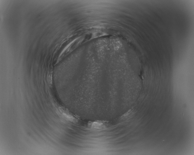 X0000076070180200610202024