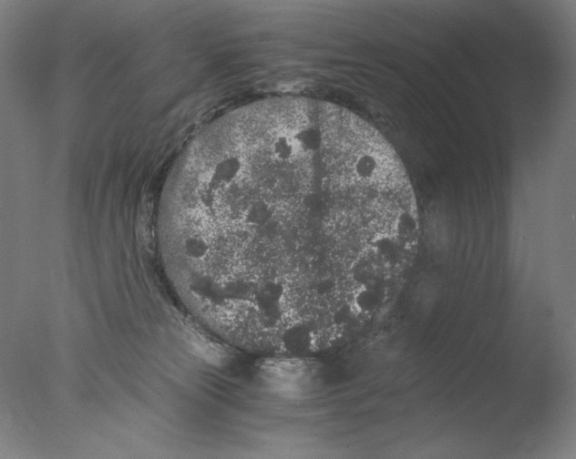 X0000076070181200610202024