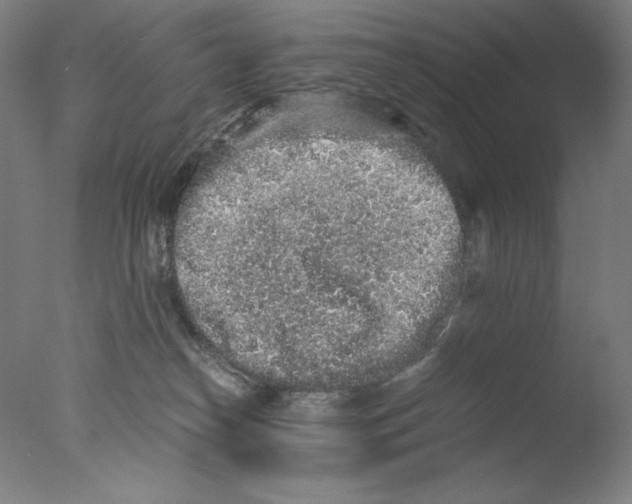 X0000076070182200610202024