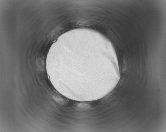 X0000076070183200610202024