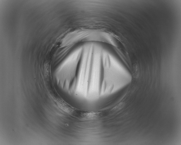 X0000076070184200610202024