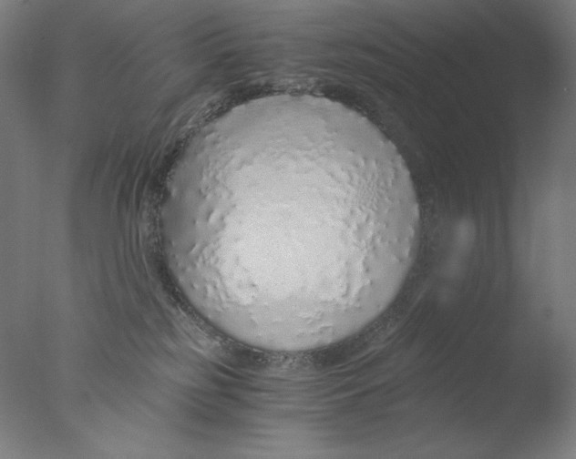 X0000076070185200610202024