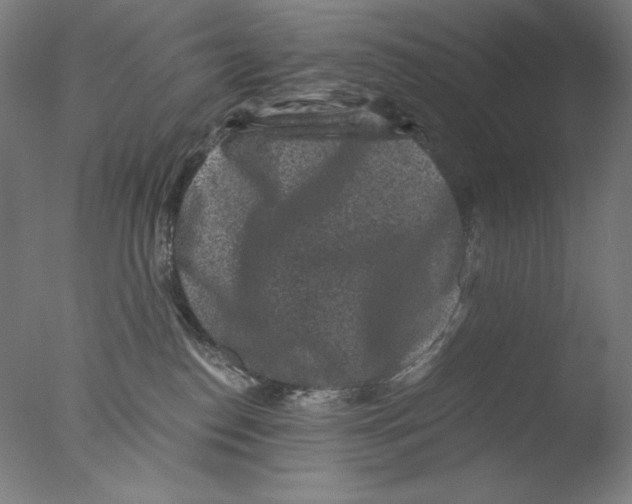 X0000076070186200610202024