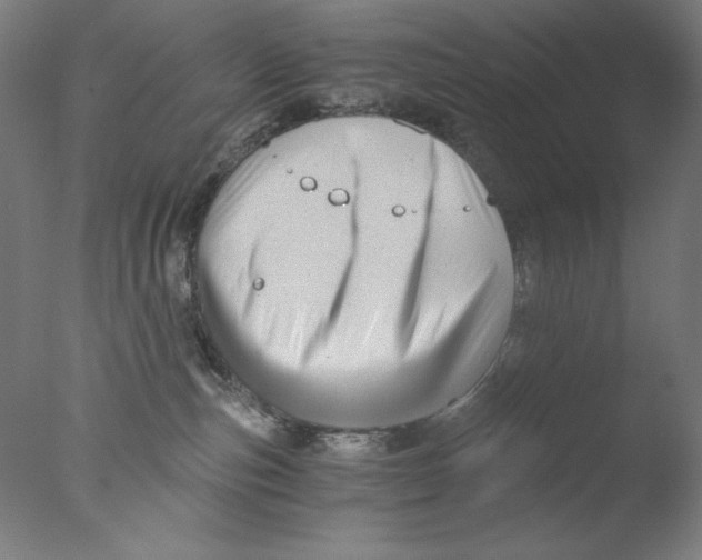 X0000076070187200610202024