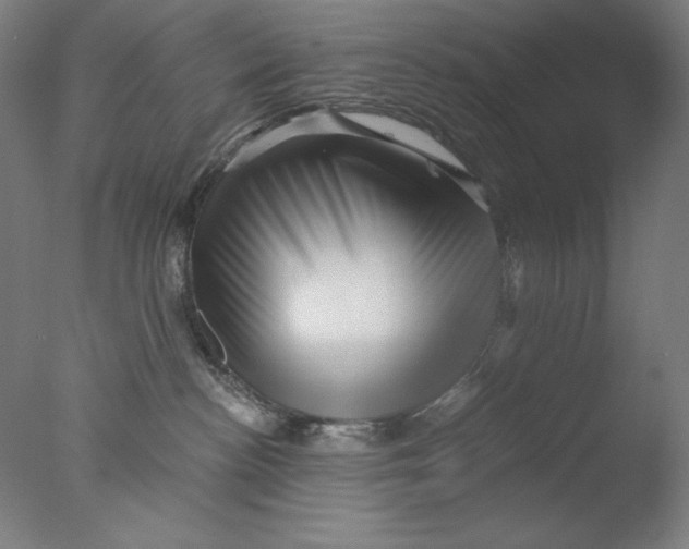 X0000076070188200610202024