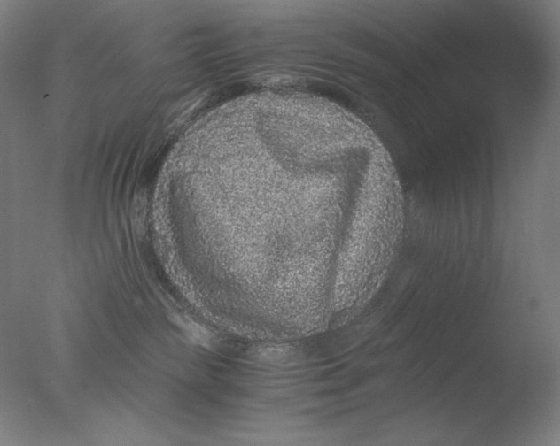 X0000076070189200610202024