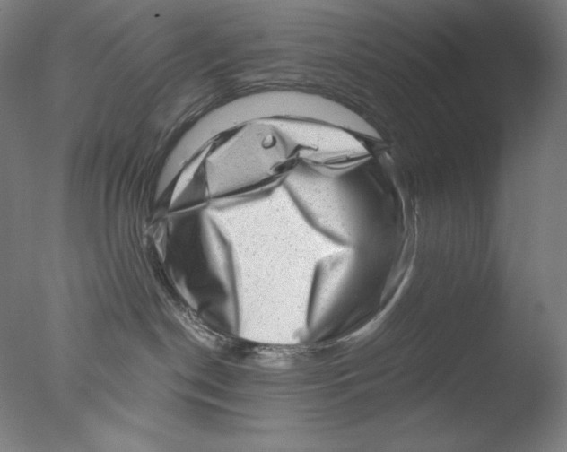 X0000076070190200610202024