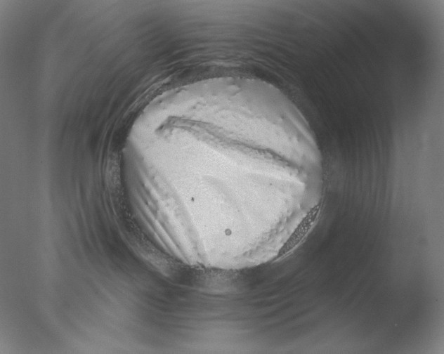 X0000076070191200610202024