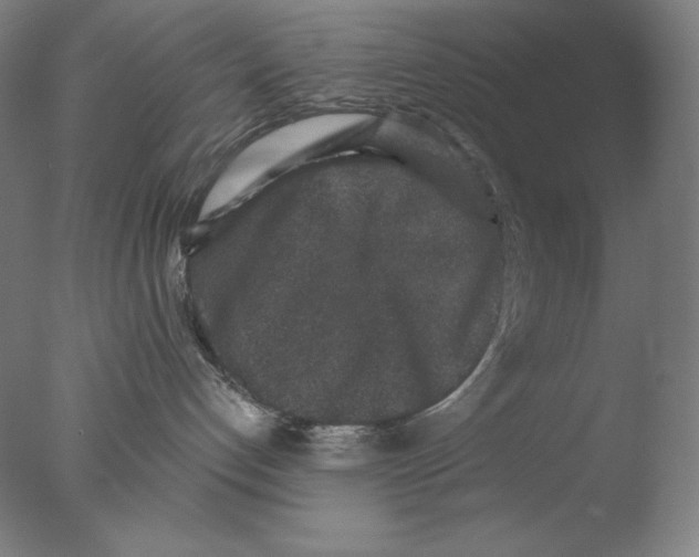 X0000076070192200610202024