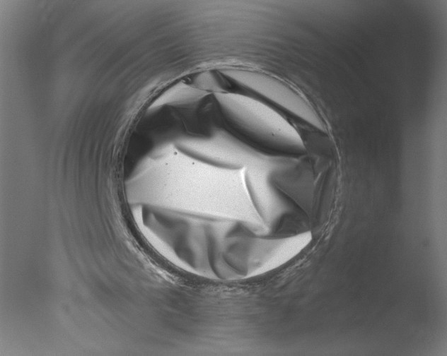 X0000076070193200610202023