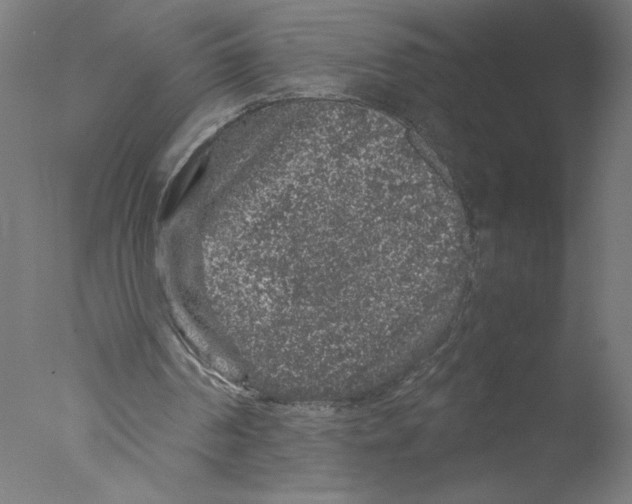 X0000076070194200610202023