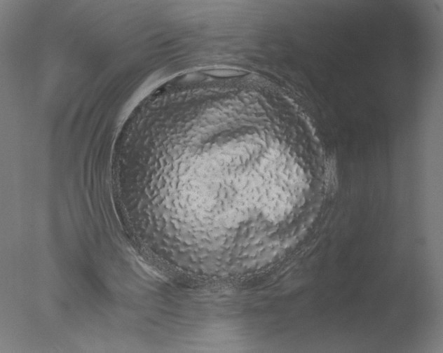 X0000076070195200610202023