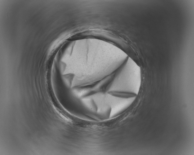 X0000076070197200610202023