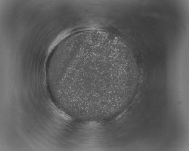 X0000076070198200610202023