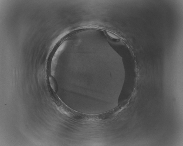 X0000076070200200610202023