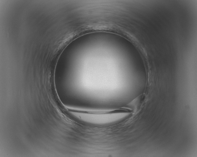 X0000076070201200610202023