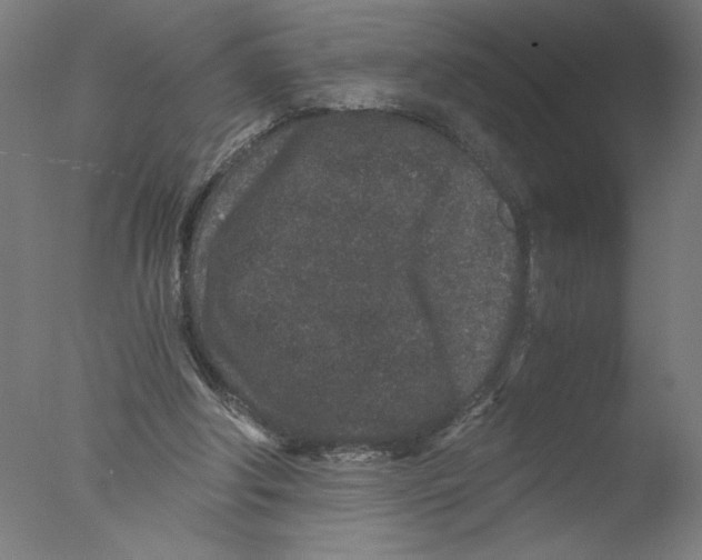 X0000076070202200610202023