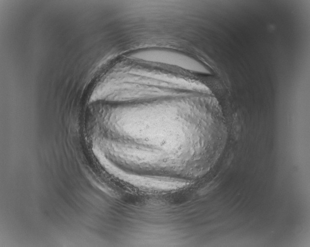 X0000076070203200610202023