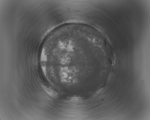 X0000076070204200610202023