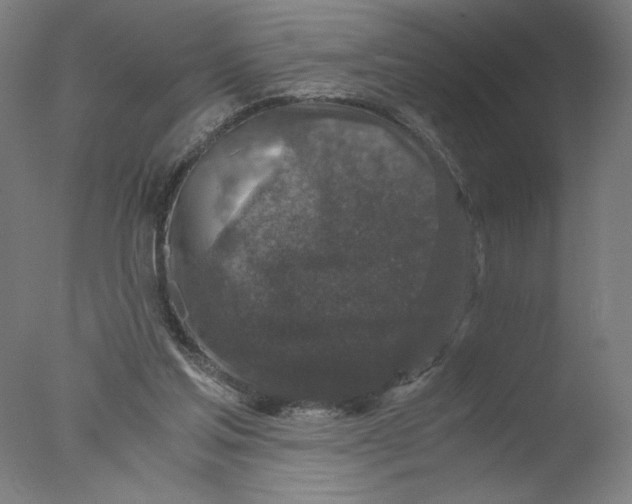 X0000076070205200610202023